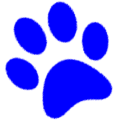 cougar paw